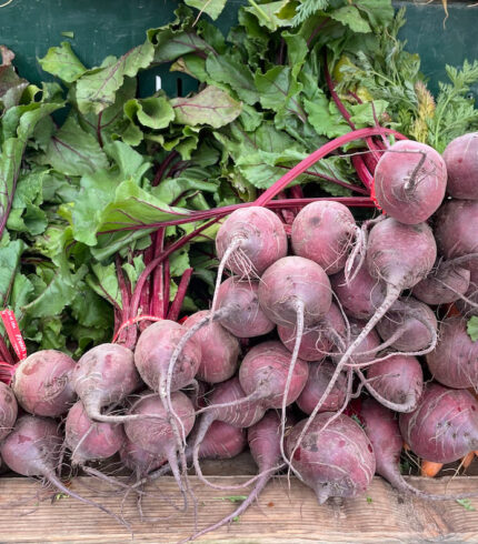 Beets (Candy Striped) [Underwood Family Farms] - FarmShoppr