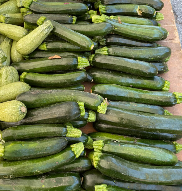 zucchini-underwood_family_farms