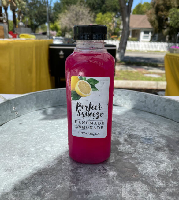 dragon_fruit_lemonade-perfect_squeeze dragon_fruit_lemonade-perfect_squeeze