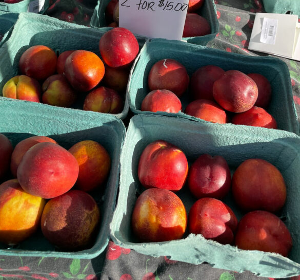 honey_royal_yellow_nectarines-murray_family_farms honey_royal_yellow_nectarines-murray_family_farms