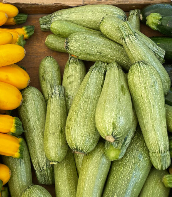 light_green_zucchini-underwood_family_farms light_green_zucchini-underwood_family_farms