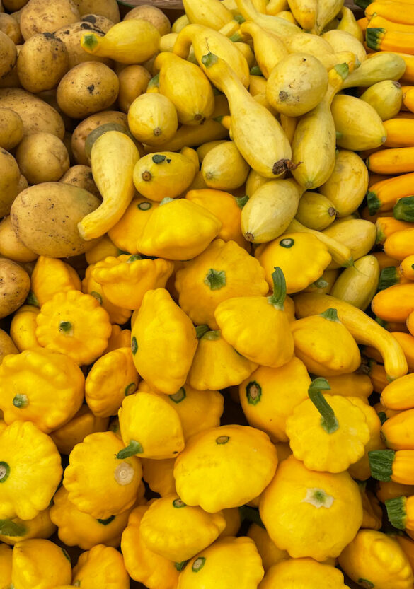 pattypan_squash-underwood_family_farms pattypan_squash-underwood_family_farms