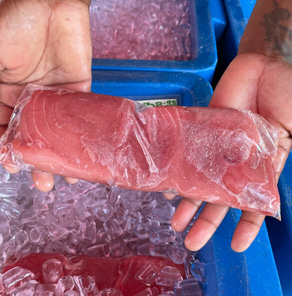 ahi_tuna_yellowfin-dry_dock_fish-2 ahi_tuna_yellowfin-dry_dock_fish-2